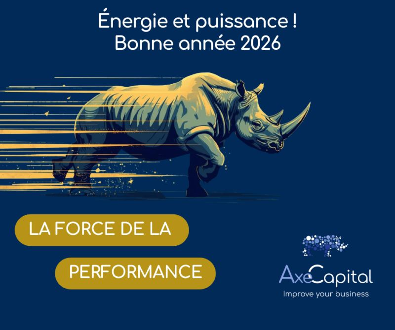 Rhinocéros Axe Capital